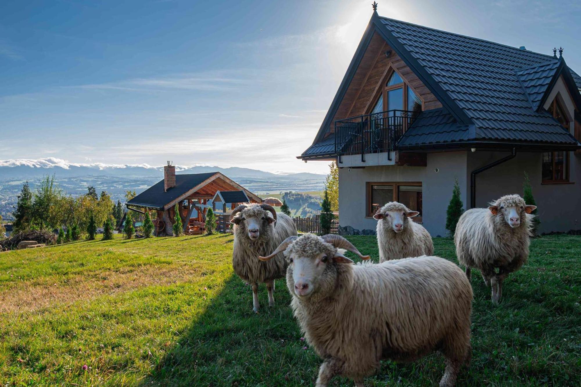 Lesne Zacisze Villa Nowy Targ Exterior photo
